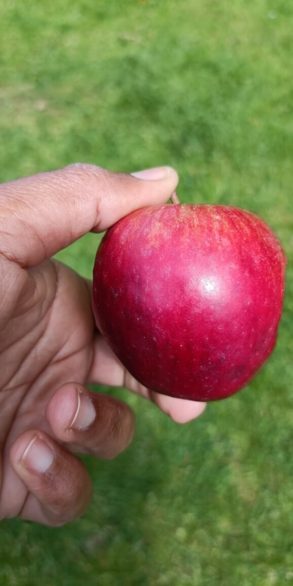 IMG20250507134137 (1) (1)